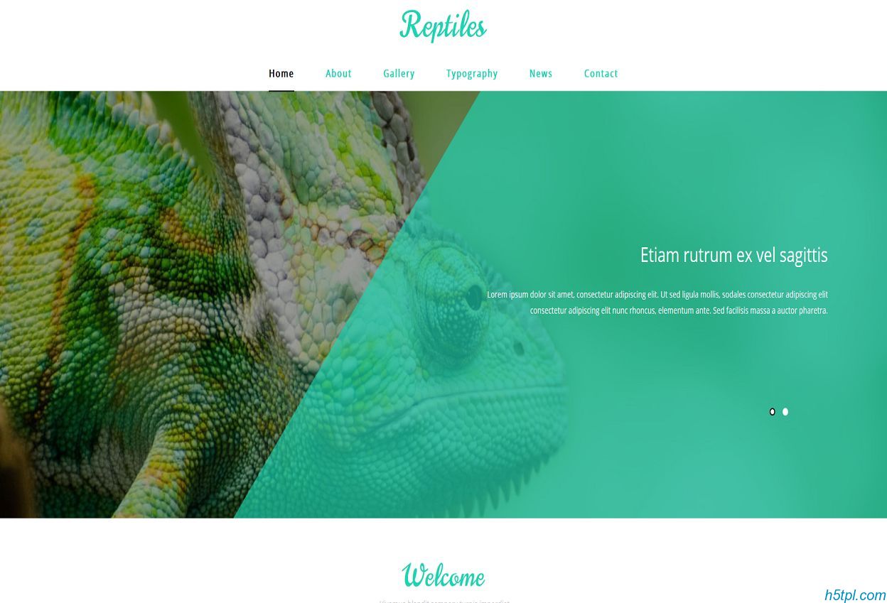 两栖动物展示网页模板是一款HTML模板，适合户外野生动物展示网站模板