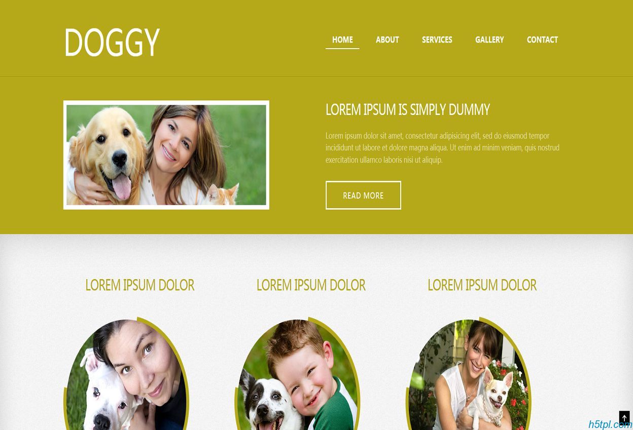 橙色宽屏CSS3网页模板是一款适合宠物狗展示的CSS3网页模板