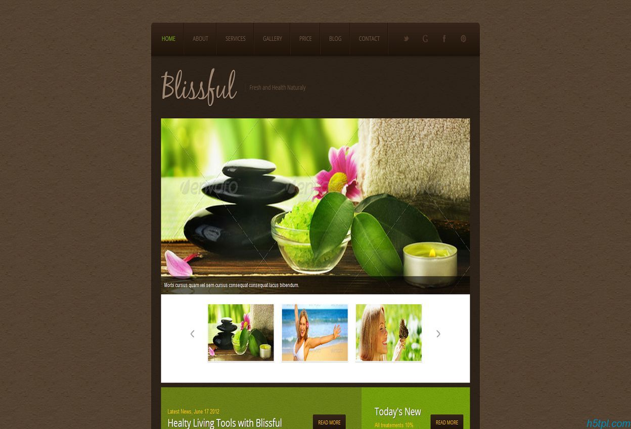 美容养生会所网站模板是一款棕色风格的美容养生馆网站模板