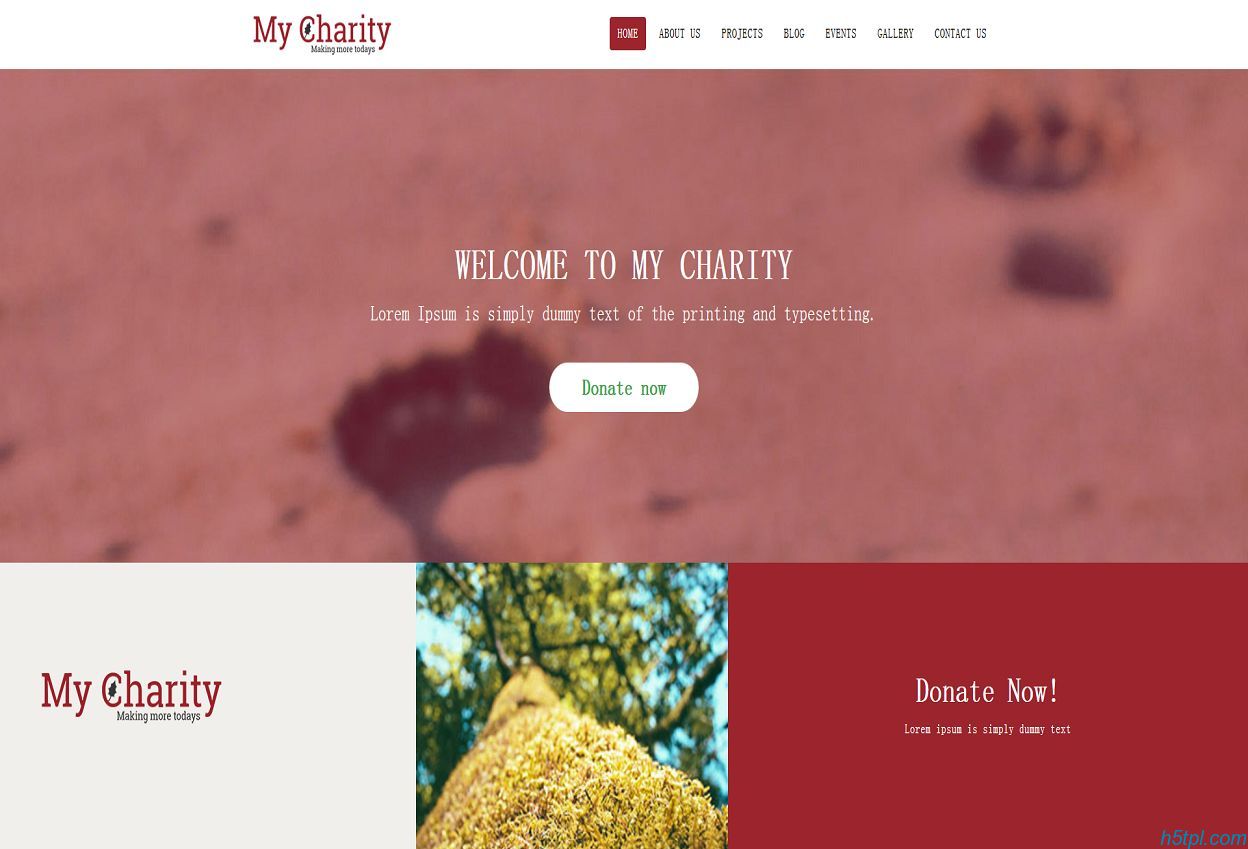 慈善机构HTML网站模板是一...