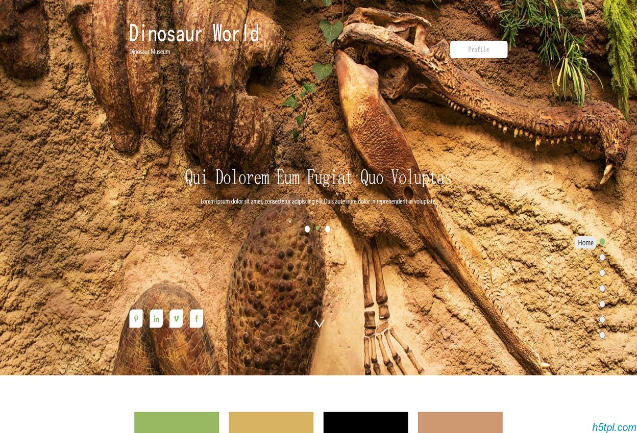 动物标本馆官方网站模板是一款适合野生动物标本研究所HTML5网站模板