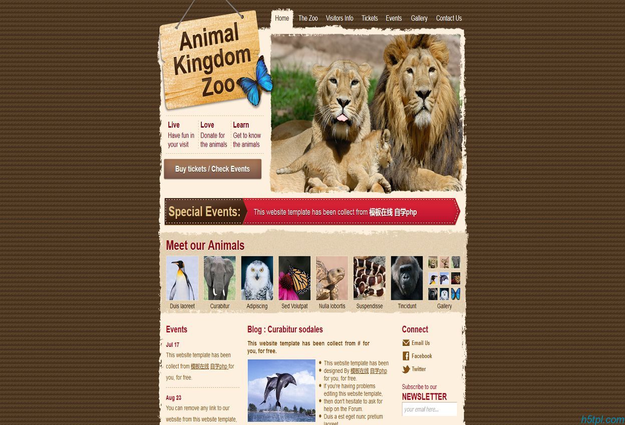 棕色纹理撕边动物园企业网站模板