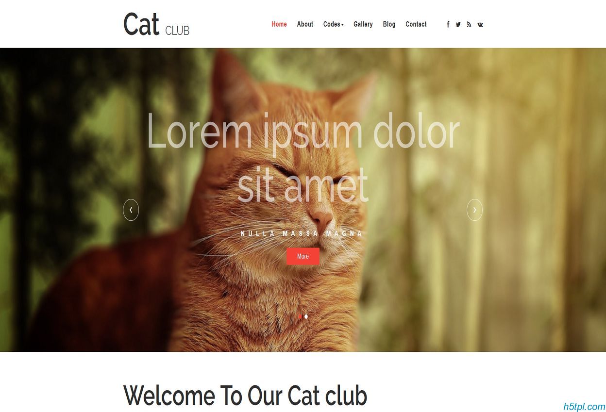 宠物猫俱乐部网站模板里面包含8个子页面，适合宠物爱好者网站模板