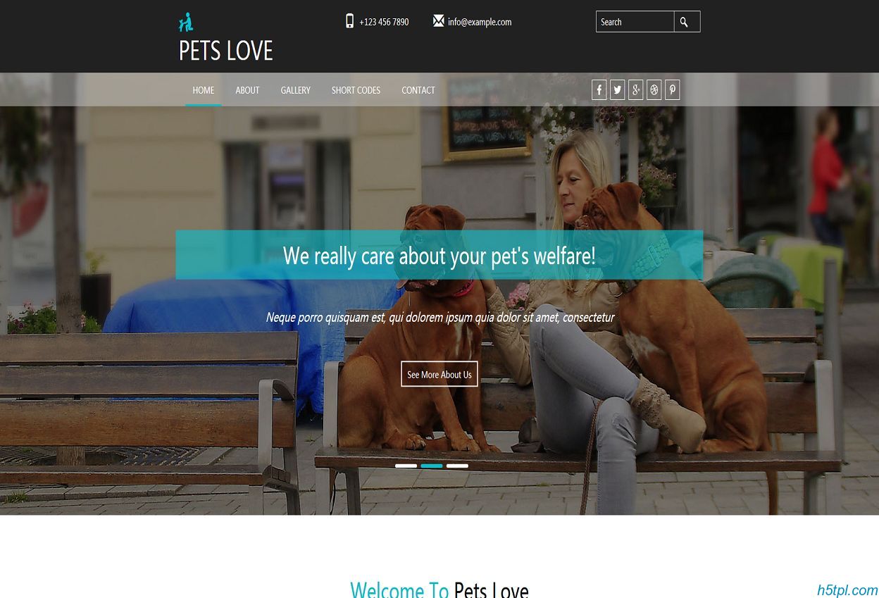 爱狗爱猫人士网站模板里面包含5个子页面，适合宠物爱好者网站模板下载