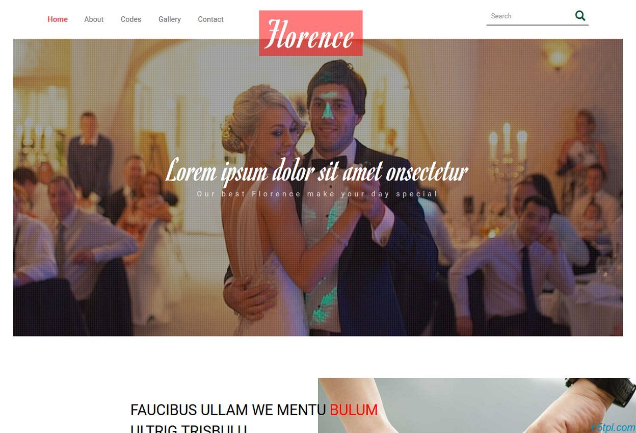 婚礼策划企业html5模板是一款适合婚纱摄影相关网站模板下载