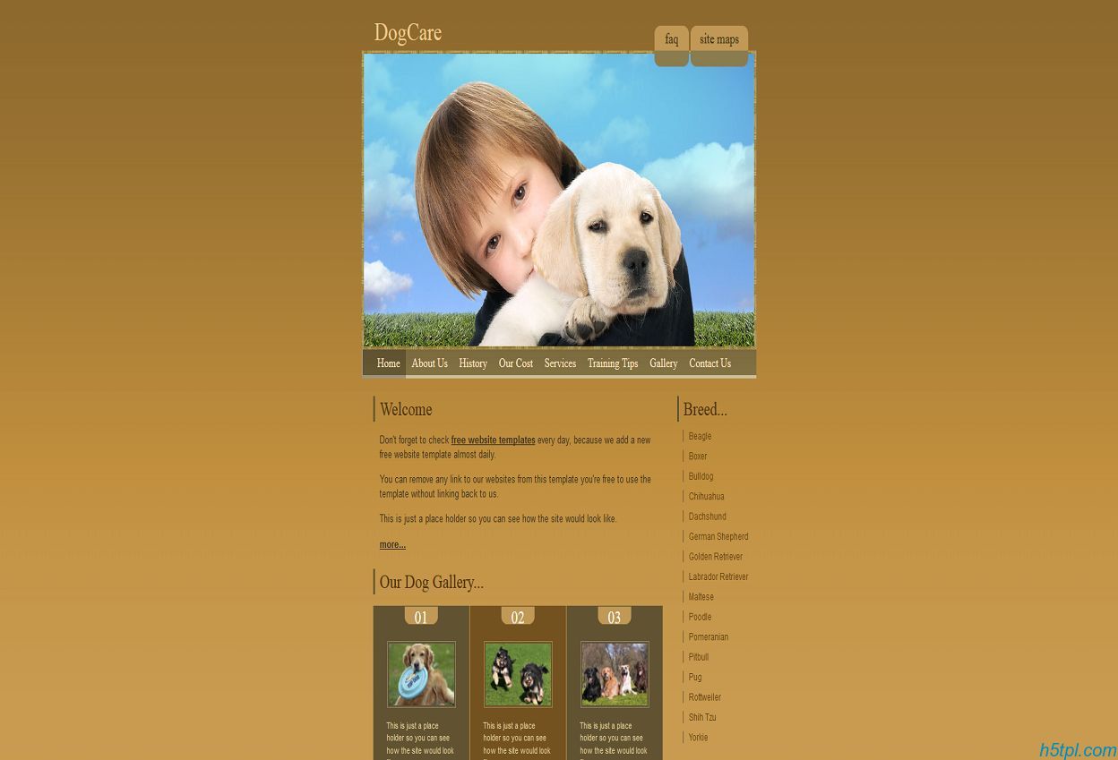 棕色宠物狗网站模板下载