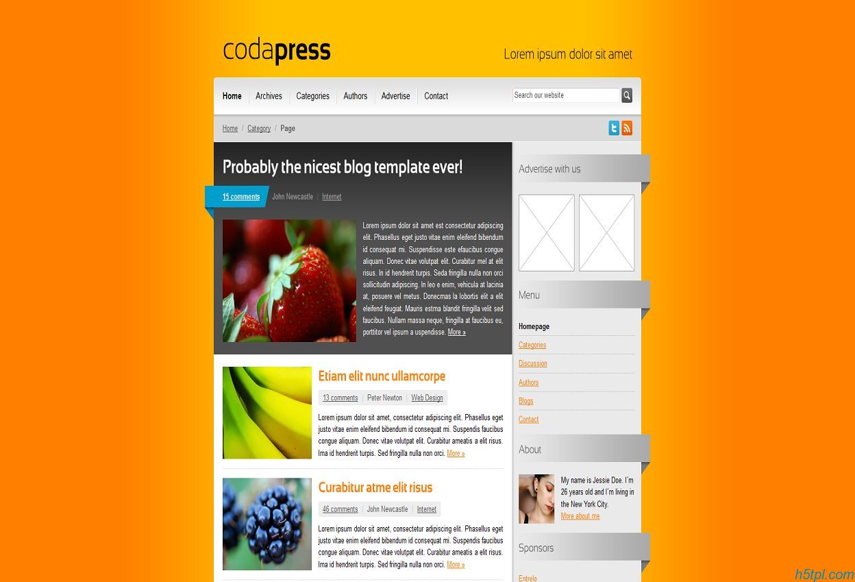 橙色漂亮的web20科技企业网...