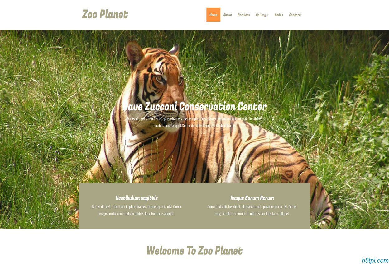 老虎动物园网站模板是一款html5模板，适合各种动物养殖场网站模板下载