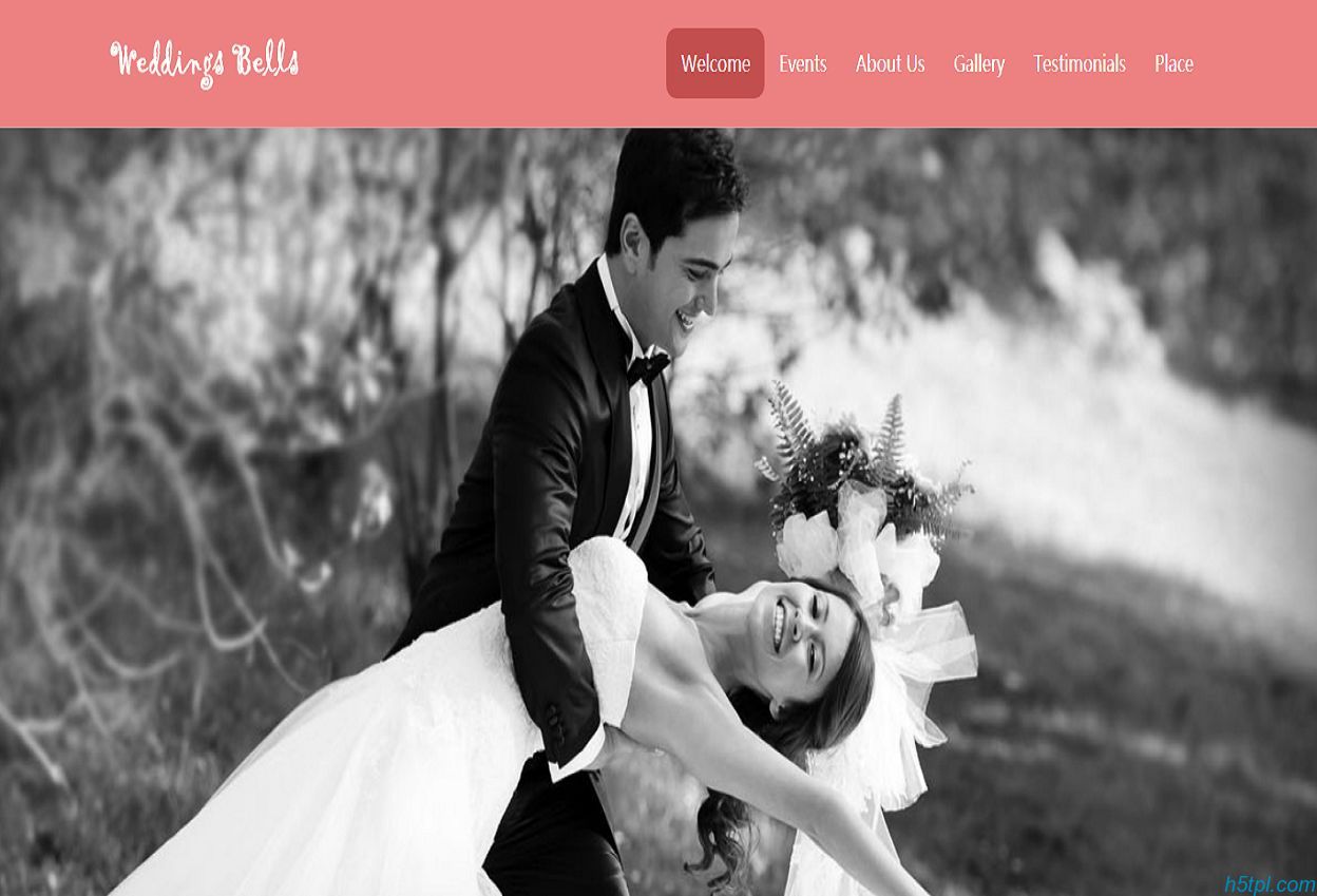 粉红色婚纱摄影网站模板是一款漂亮粉红的婚纱摄影网站模板