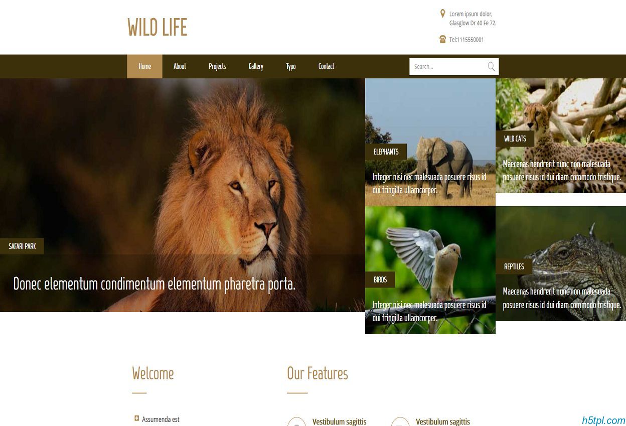 狮子动物园管理网站模板是一款动物宠物饲养管理HTML5网站模板